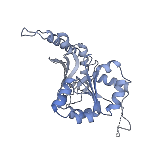 35287_8i9x_CB_v1-1
Cryo-EM structure of a Chaetomium thermophilum pre-60S ribosomal subunit - Ytm1-1