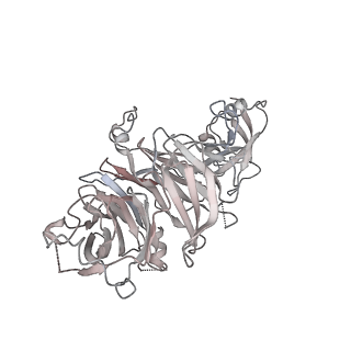 35287_8i9x_CD_v1-1
Cryo-EM structure of a Chaetomium thermophilum pre-60S ribosomal subunit - Ytm1-1