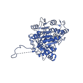 35287_8i9x_CE_v1-1
Cryo-EM structure of a Chaetomium thermophilum pre-60S ribosomal subunit - Ytm1-1
