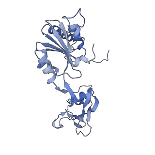 35287_8i9x_CF_v1-1
Cryo-EM structure of a Chaetomium thermophilum pre-60S ribosomal subunit - Ytm1-1