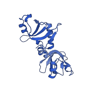 35287_8i9x_CG_v1-1
Cryo-EM structure of a Chaetomium thermophilum pre-60S ribosomal subunit - Ytm1-1