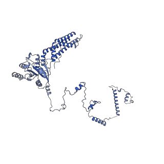 35287_8i9x_CH_v1-1
Cryo-EM structure of a Chaetomium thermophilum pre-60S ribosomal subunit - Ytm1-1