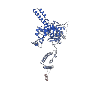 35287_8i9x_CJ_v1-1
Cryo-EM structure of a Chaetomium thermophilum pre-60S ribosomal subunit - Ytm1-1
