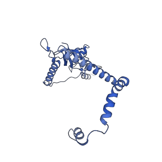 35287_8i9x_CK_v1-1
Cryo-EM structure of a Chaetomium thermophilum pre-60S ribosomal subunit - Ytm1-1