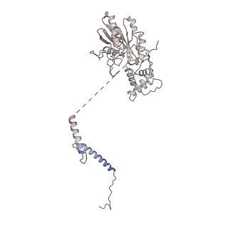35287_8i9x_CL_v1-1
Cryo-EM structure of a Chaetomium thermophilum pre-60S ribosomal subunit - Ytm1-1