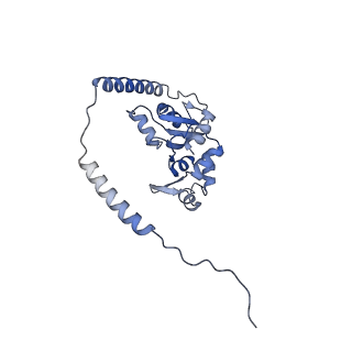 35287_8i9x_CM_v1-1
Cryo-EM structure of a Chaetomium thermophilum pre-60S ribosomal subunit - Ytm1-1
