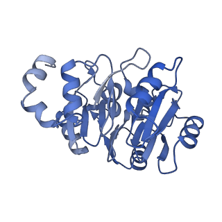 35287_8i9x_CN_v1-1
Cryo-EM structure of a Chaetomium thermophilum pre-60S ribosomal subunit - Ytm1-1
