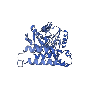 35287_8i9x_CP_v1-1
Cryo-EM structure of a Chaetomium thermophilum pre-60S ribosomal subunit - Ytm1-1