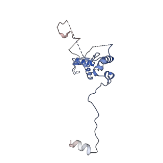 35287_8i9x_CR_v1-1
Cryo-EM structure of a Chaetomium thermophilum pre-60S ribosomal subunit - Ytm1-1