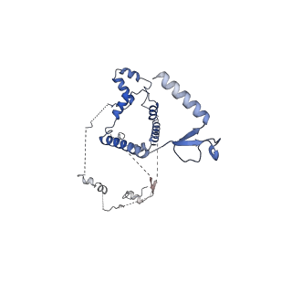 35287_8i9x_CS_v1-1
Cryo-EM structure of a Chaetomium thermophilum pre-60S ribosomal subunit - Ytm1-1