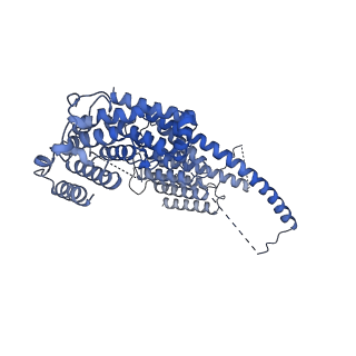 35287_8i9x_CT_v1-1
Cryo-EM structure of a Chaetomium thermophilum pre-60S ribosomal subunit - Ytm1-1