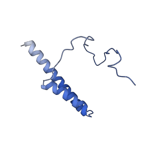 35287_8i9x_CX_v1-1
Cryo-EM structure of a Chaetomium thermophilum pre-60S ribosomal subunit - Ytm1-1