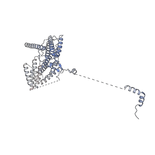 35287_8i9x_CY_v1-1
Cryo-EM structure of a Chaetomium thermophilum pre-60S ribosomal subunit - Ytm1-1
