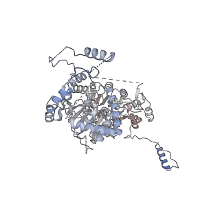 35287_8i9x_Cb_v1-1
Cryo-EM structure of a Chaetomium thermophilum pre-60S ribosomal subunit - Ytm1-1