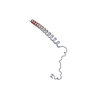 35287_8i9x_Cz_v1-1
Cryo-EM structure of a Chaetomium thermophilum pre-60S ribosomal subunit - Ytm1-1