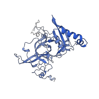 35287_8i9x_LB_v1-1
Cryo-EM structure of a Chaetomium thermophilum pre-60S ribosomal subunit - Ytm1-1