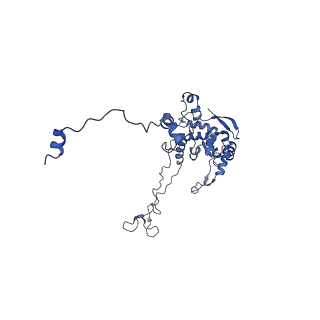 35287_8i9x_LC_v1-1
Cryo-EM structure of a Chaetomium thermophilum pre-60S ribosomal subunit - Ytm1-1