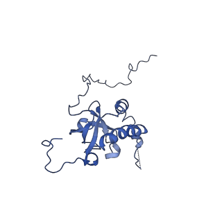 35287_8i9x_LE_v1-1
Cryo-EM structure of a Chaetomium thermophilum pre-60S ribosomal subunit - Ytm1-1