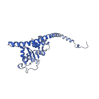 35287_8i9x_LF_v1-1
Cryo-EM structure of a Chaetomium thermophilum pre-60S ribosomal subunit - Ytm1-1
