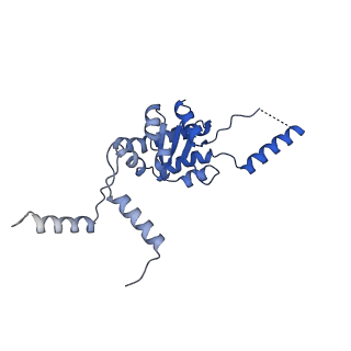 35287_8i9x_LG_v1-1
Cryo-EM structure of a Chaetomium thermophilum pre-60S ribosomal subunit - Ytm1-1