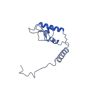 35287_8i9x_LL_v1-1
Cryo-EM structure of a Chaetomium thermophilum pre-60S ribosomal subunit - Ytm1-1
