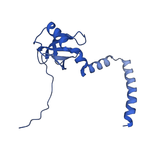 35287_8i9x_LM_v1-1
Cryo-EM structure of a Chaetomium thermophilum pre-60S ribosomal subunit - Ytm1-1