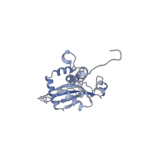 35287_8i9x_LN_v1-1
Cryo-EM structure of a Chaetomium thermophilum pre-60S ribosomal subunit - Ytm1-1