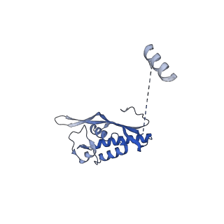 35287_8i9x_LP_v1-1
Cryo-EM structure of a Chaetomium thermophilum pre-60S ribosomal subunit - Ytm1-1