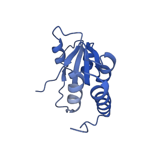 35287_8i9x_LQ_v1-1
Cryo-EM structure of a Chaetomium thermophilum pre-60S ribosomal subunit - Ytm1-1