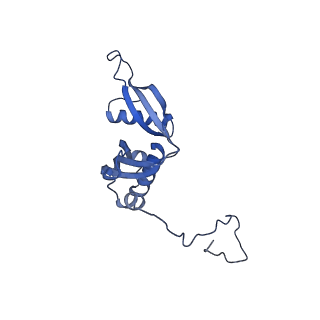 35287_8i9x_LS_v1-1
Cryo-EM structure of a Chaetomium thermophilum pre-60S ribosomal subunit - Ytm1-1
