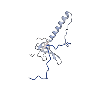 35287_8i9x_LT_v1-1
Cryo-EM structure of a Chaetomium thermophilum pre-60S ribosomal subunit - Ytm1-1