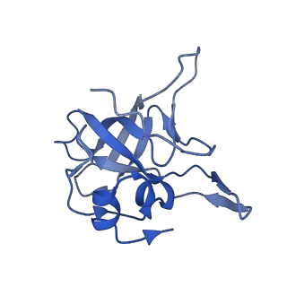 35287_8i9x_LV_v1-1
Cryo-EM structure of a Chaetomium thermophilum pre-60S ribosomal subunit - Ytm1-1