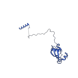 35287_8i9x_LX_v1-1
Cryo-EM structure of a Chaetomium thermophilum pre-60S ribosomal subunit - Ytm1-1