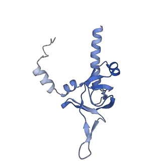 35287_8i9x_LY_v1-1
Cryo-EM structure of a Chaetomium thermophilum pre-60S ribosomal subunit - Ytm1-1