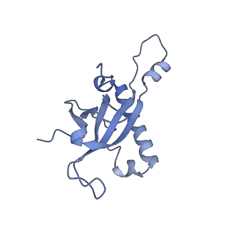 35287_8i9x_LZ_v1-1
Cryo-EM structure of a Chaetomium thermophilum pre-60S ribosomal subunit - Ytm1-1