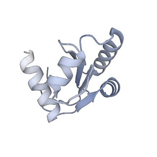35287_8i9x_Lc_v1-1
Cryo-EM structure of a Chaetomium thermophilum pre-60S ribosomal subunit - Ytm1-1