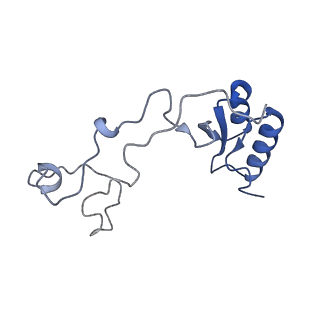 35287_8i9x_Le_v1-1
Cryo-EM structure of a Chaetomium thermophilum pre-60S ribosomal subunit - Ytm1-1