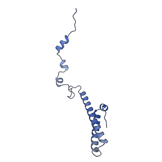 35287_8i9x_Lh_v1-1
Cryo-EM structure of a Chaetomium thermophilum pre-60S ribosomal subunit - Ytm1-1