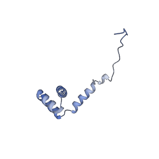 35287_8i9x_Li_v1-1
Cryo-EM structure of a Chaetomium thermophilum pre-60S ribosomal subunit - Ytm1-1