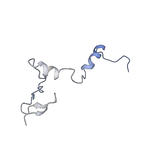 35287_8i9x_Lj_v1-1
Cryo-EM structure of a Chaetomium thermophilum pre-60S ribosomal subunit - Ytm1-1