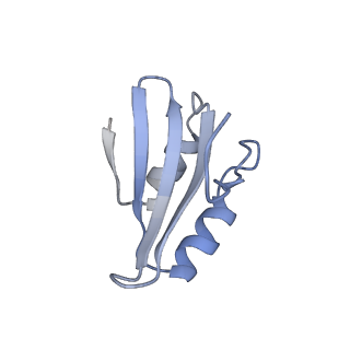 35287_8i9x_Lk_v1-1
Cryo-EM structure of a Chaetomium thermophilum pre-60S ribosomal subunit - Ytm1-1