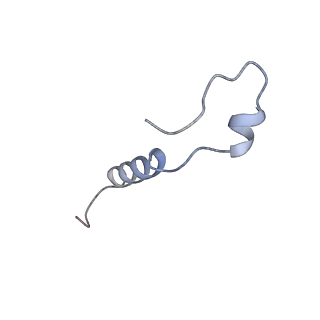 35287_8i9x_Ll_v1-1
Cryo-EM structure of a Chaetomium thermophilum pre-60S ribosomal subunit - Ytm1-1