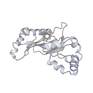 35287_8i9x_Lq_v1-1
Cryo-EM structure of a Chaetomium thermophilum pre-60S ribosomal subunit - Ytm1-1