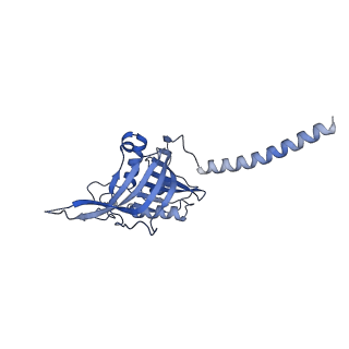 35288_8i9y_CA_v1-1
Cryo-EM structure of a Chaetomium thermophilum pre-60S ribosomal subunit - Ytm1-2
