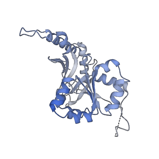 35288_8i9y_CB_v1-1
Cryo-EM structure of a Chaetomium thermophilum pre-60S ribosomal subunit - Ytm1-2