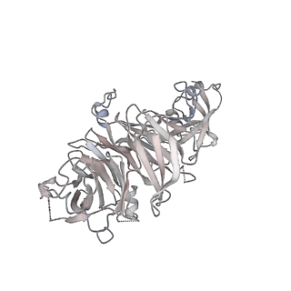 35288_8i9y_CD_v1-1
Cryo-EM structure of a Chaetomium thermophilum pre-60S ribosomal subunit - Ytm1-2