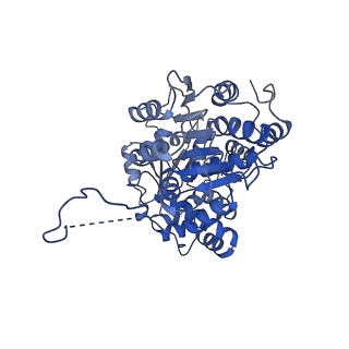 35288_8i9y_CE_v1-1
Cryo-EM structure of a Chaetomium thermophilum pre-60S ribosomal subunit - Ytm1-2