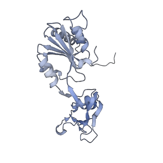 35288_8i9y_CF_v1-1
Cryo-EM structure of a Chaetomium thermophilum pre-60S ribosomal subunit - Ytm1-2