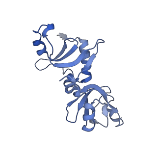 35288_8i9y_CG_v1-1
Cryo-EM structure of a Chaetomium thermophilum pre-60S ribosomal subunit - Ytm1-2