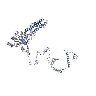 35288_8i9y_CH_v1-1
Cryo-EM structure of a Chaetomium thermophilum pre-60S ribosomal subunit - Ytm1-2